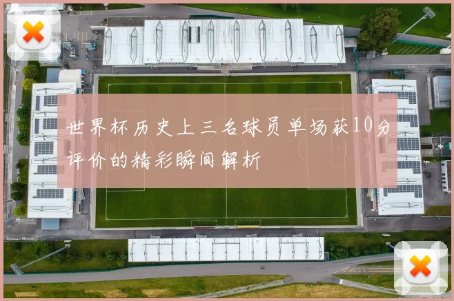 世界杯历史上三名球员单场获10分评价的精彩瞬间解析